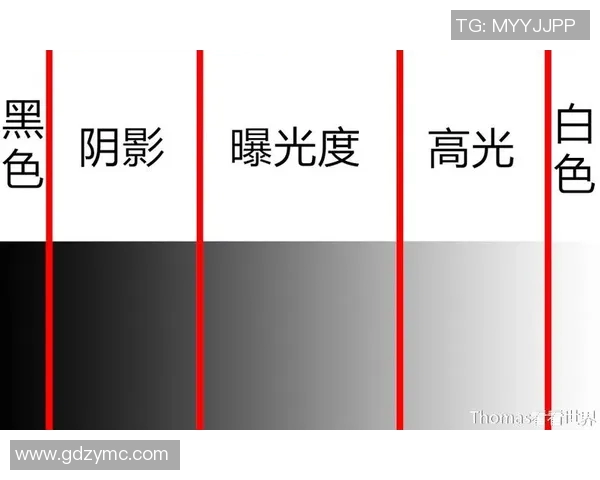 足球明星挑选规则详解视频解析助你轻松理解选拔过程与技巧